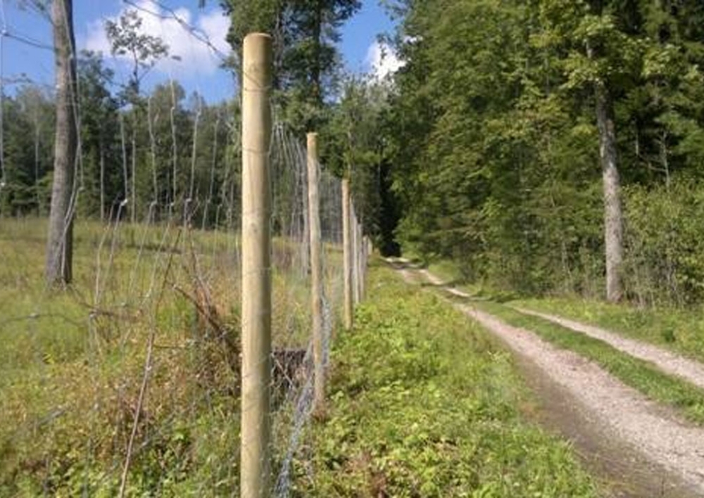 Parama 2025 m. Molėtų rajone medžiojamųjų gyvūnų žalos prevencijai