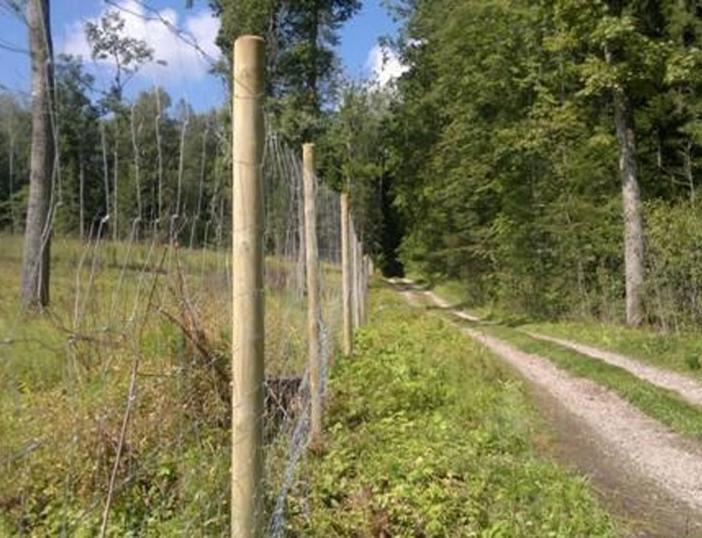 Parama 2025 m. Molėtų rajone medžiojamųjų gyvūnų žalos prevencijai
