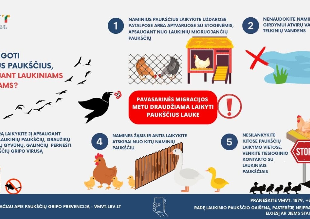 Valstybinė maisto ir veterinarijos tarnyba perspėja dėl paukščių gripo