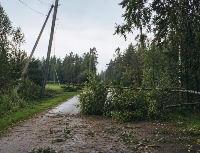 Audros padarinių šalinimas Molėtų rajone: situacija ir svarbiausia informacija gyventojams