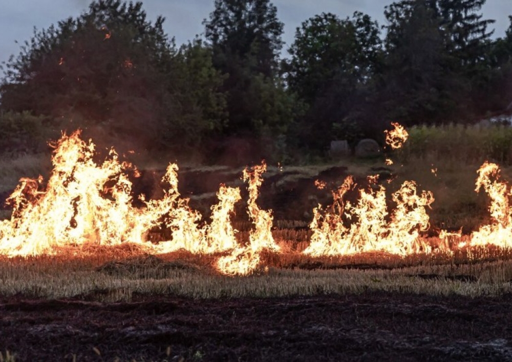 Molėtų rajone fiksuojami pirmieji sausos žolės gaisrai
