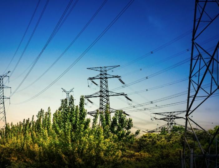 Po audros Molėtų rajone: savivaldybė tęsia darbus, iš ESO laukiama aiškesnių elektros atkūrimo terminų ir veiksmų plano