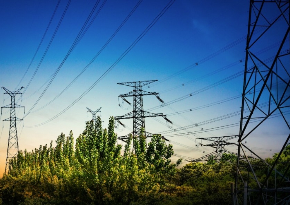 Po audros Molėtų rajone: savivaldybė tęsia darbus, iš ESO laukiama aiškesnių elektros atkūrimo terminų ir veiksmų plano