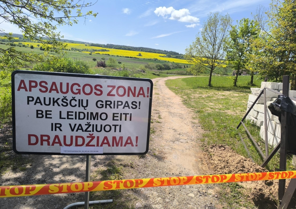 Paukščių gripas vėl Lietuvoje – židinys nustatytas Kaišiadorių rajone