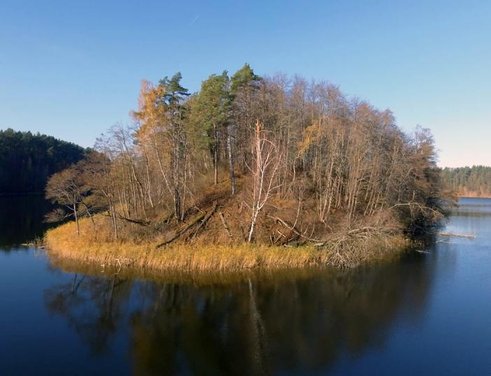 Rugpjūčio 21 d. Kultūros paveldo departamente bus tikslinami Jonėnų piliakalnio apskaitos duomenys