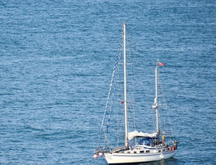 Aktuali informacija dėl komercinės veiklos vidaus vandenyse pramoginiais laivais
