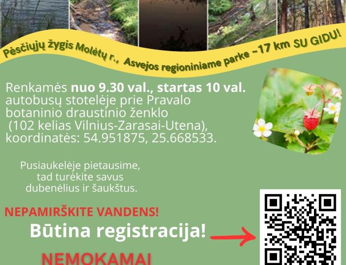 Asvejos regioniniame parke vyks žygis pėsčiomis