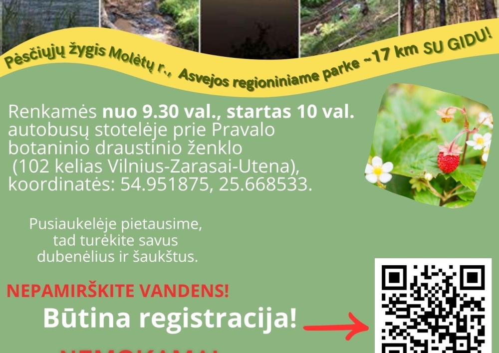 Asvejos regioniniame parke vyks žygis pėsčiomis