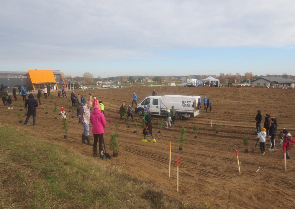 Naujajame Molėtų parke pasodinta 1000 medelių