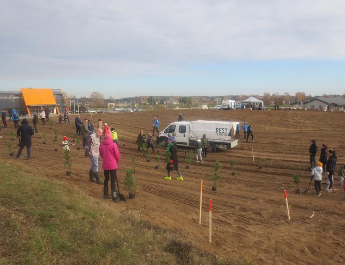 Naujajame Molėtų parke pasodinta 1000 medelių