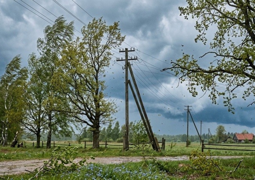 ESO įspėja: sekmadienį galimi elektros tiekimo sutrikimai dėl stipraus vėjo