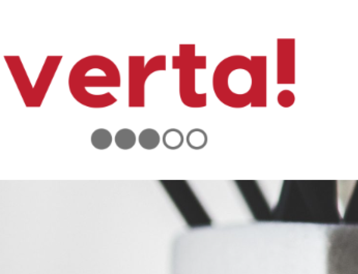 Kvietimas nevyriausybinių organizacijų atstovams