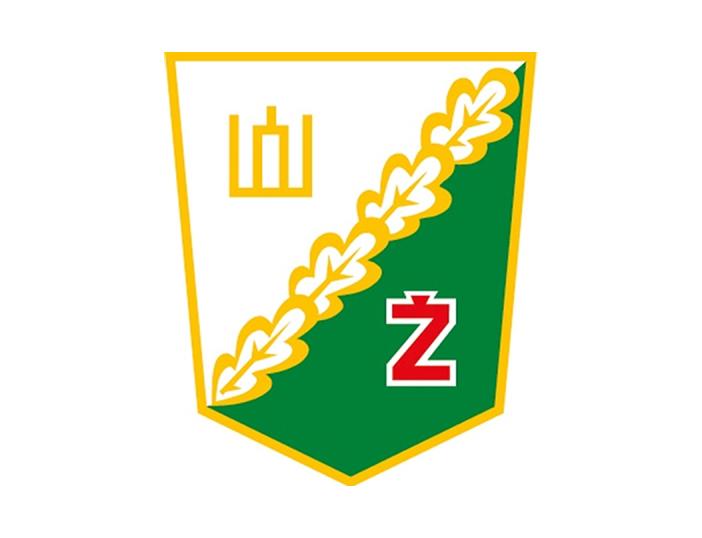 LSD Žalgiris kviečia dalyvauti žiemos sporto žaidynėse