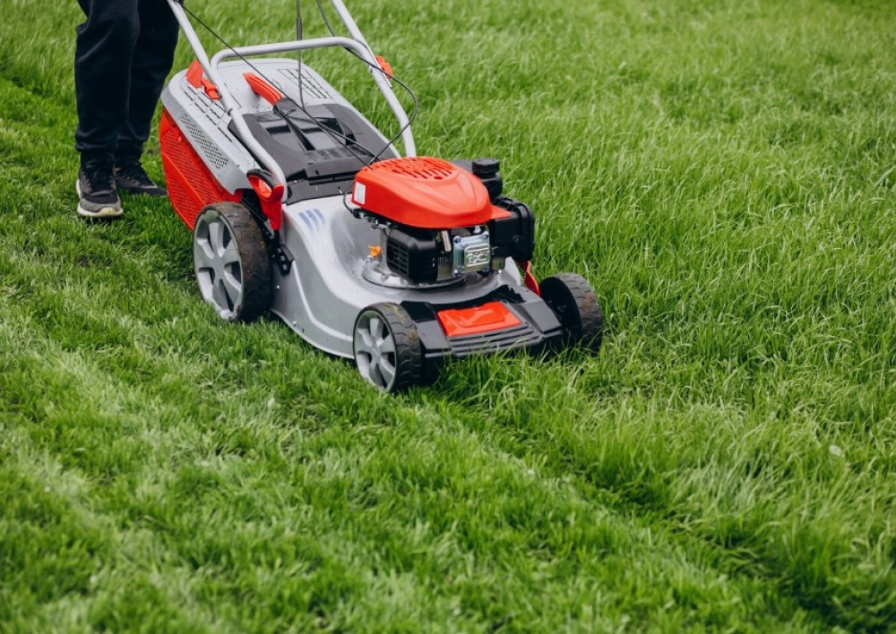 Primename: žolės aukštis sklypuose – ne didesnis kaip 25 cm. Kviečiame pasirūpinti savo aplinka
